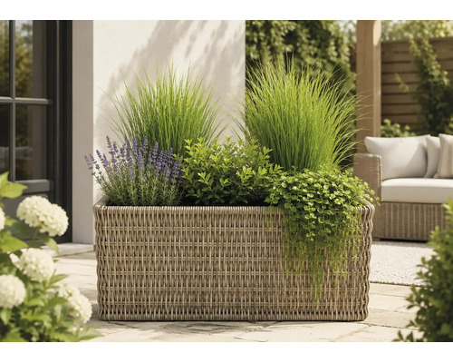 Rechteckiger Pflanzkübel in Korboptik auf einer Terrasse, bepflanzt mit Lavendel, Ziergräsern und Hängepflanzen.