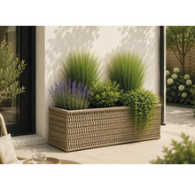 Rechteckiger Pflanzkasten in Flechtoptik auf einer Terrasse, bepflanzt mit Ziergräsern, Lavendel und verschiedenen Gartenpflanzen.