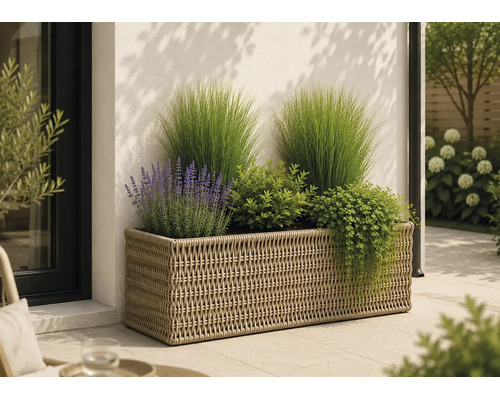 Rechteckiger Pflanzkasten in Flechtoptik auf einer Terrasse, bepflanzt mit Ziergräsern, Lavendel und verschiedenen Gartenpflanzen.