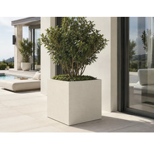 Quadratischer, moderner Pflanzkübel mit grüner Pflanze auf einer hellen, großzügigen Terrasse neben einem Pool.