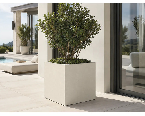 Quadratischer, moderner Pflanzkübel mit grüner Pflanze auf einer hellen, großzügigen Terrasse neben einem Pool.