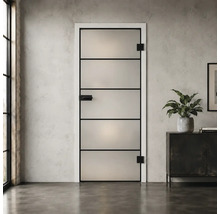 Moderne Glastür im Industrial-Stil mit schwarzem Rahmen, Querstreben und mattiertem Glas in einer Zarge vor einer Wand in Betonoptik.