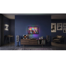 Modernes Wohnzimmer mit dunklen Wänden, Holz-Sideboard, Plattenspieler, Lautsprechern und hinterleuchtetem Wandbild mit Affen-Motiv.