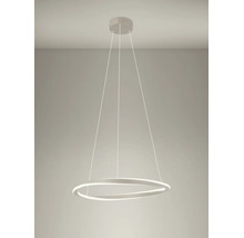 Moderne LED-Pendelleuchte in Ringform mit Seilaufhängung für die Deckenmontage.