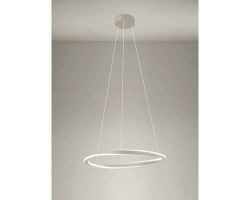 Moderne LED-Pendelleuchte in Ringform mit Seilaufhängung für die Deckenmontage.