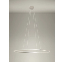 Moderne LED-Pendelleuchte in Ringform mit geschwungenem Design, aufgehängt an dünnen Seilen.