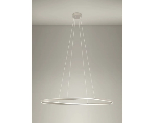 Moderne LED-Pendelleuchte in Ringform mit geschwungenem Design, aufgehängt an dünnen Seilen.
