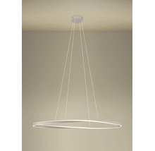Moderne LED-Hängeleuchte in Ringform mit geschwungenem Design und dünnen Seilen.