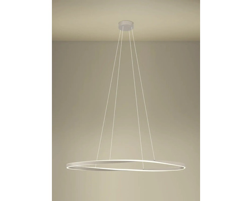 Moderne LED-Hängeleuchte in Ringform mit geschwungenem Design und dünnen Seilen.