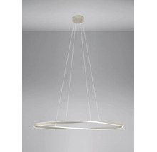 Moderne LED-Pendelleuchte mit geschwungenem Ring und dünnen Aufhängeseilen.
