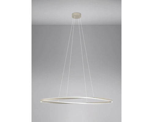 Moderne LED-Pendelleuchte mit geschwungenem Ring und dünnen Aufhängeseilen.