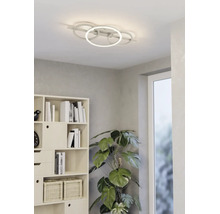 Moderne LED-Deckenleuchte mit vier Ringen in einem hellen Wohnzimmer neben einem Bücherregal und einer Monstera-Pflanze.