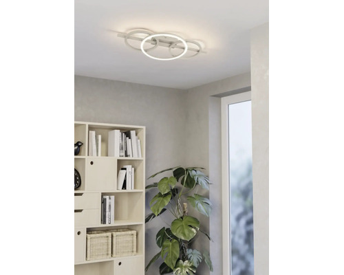 Moderne LED-Deckenleuchte mit vier Ringen in einem hellen Wohnzimmer neben einem Bücherregal und einer Monstera-Pflanze.