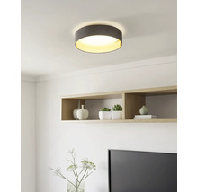 Runde Deckenleuchte mit dunklem Gehäuse und goldener Innenseite in einem hellen, modern eingerichteten Wohnraum mit Holzregal.