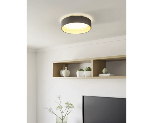 Runde Deckenleuchte mit dunklem Gehäuse und goldener Innenseite in einem hellen, modern eingerichteten Wohnraum mit Holzregal.