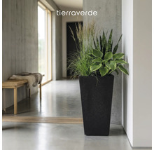 Tierra Verde Logo. Hoher quadratischer Pflanzkübel mit dunkler Oberfläche, bepflanzt mit Gräsern und Grünpflanzen in einem modernen Flur.