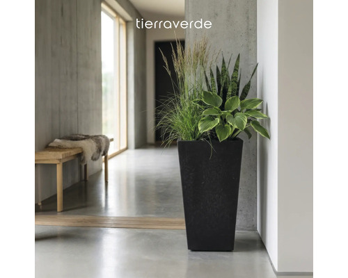 Tierra Verde Logo. Hoher quadratischer Pflanzkübel mit dunkler Oberfläche, bepflanzt mit Gräsern und Grünpflanzen in einem modernen Flur.