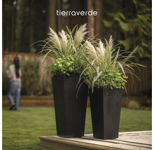 Zwei hohe quadratische Pflanzgefäße mit Gräsern und Kräutern auf einem Holzdeck im Garten. Tierraverde Logo.