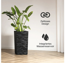Hoher quadratischer Pflanzkübel mit Struktur, einer Pflanze, zeitlosem Design und integriertem Wasserreservoir.