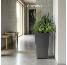 Hoher dunkelgrauer Pflanzkübel mit Grünpflanzen in modernem Interieur mit Betonwänden und Holzbank. tierraverde Logo.