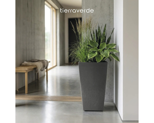 Hoher dunkelgrauer Pflanzkübel mit Grünpflanzen in modernem Interieur mit Betonwänden und Holzbank. tierraverde Logo.