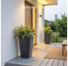 Zwei hohe konische Pflanzgefäße in Steinoptik mit Farnen und Hostas auf einer modern beleuchteten Terrasse. Tierraverde Logo.