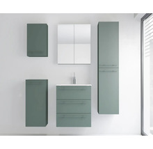 Modernes Badezimmermöbel-Set mit Waschbeckenunterschrank, Spiegelschrank und mehreren Seitenschränken in matter, grüner Optik.