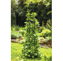 Rankhilfe Obelisk aus schwarzem Metall mit Vogelmotiven und grünen Kletterpflanzen im Garten.