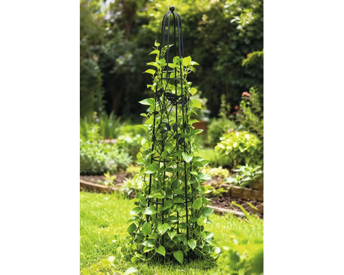 Rankhilfe Obelisk aus schwarzem Metall mit Vogelmotiven und grünen Kletterpflanzen im Garten.