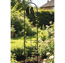 Schwarze Rankhilfe aus Metall mit Vogel-Motiven im Garten, bewachsen mit Kletterpflanzen neben Rosensträuchern.