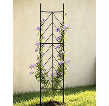 Schwarze Rankhilfe aus Metall mit geometrischem Muster, bewachsen mit einer blühenden Kletterpflanze im Garten.