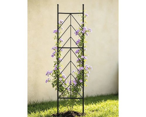 Schwarze Rankhilfe aus Metall mit geometrischem Muster, bewachsen mit einer blühenden Kletterpflanze im Garten.
