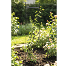 Rankhilfe aus schwarzem Metall mit dekorativen Schnörkeln und einer Kletterpflanze in einem Garten.