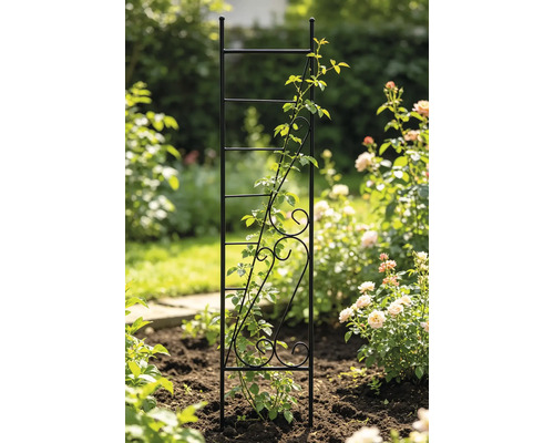 Rankhilfe aus schwarzem Metall mit dekorativen Schnörkeln und einer Kletterpflanze in einem Garten.