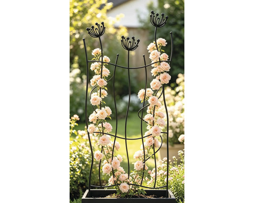 Geschwungene Rankhilfe aus schwarzem Metall mit dekorativen Blütenaufsätzen, bewachsen mit Kletterrosen in einem Pflanzkübel im Garten.