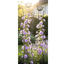 Dekoratives Rankgitter aus Metall mit Blumenmotiven an der Spitze, bewachsen mit Kletterpflanzen in einem sonnigen Garten.