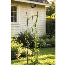 Schwarzes Garten-Rankgitter aus Metall mit dekorativem Blüten-Aufsatz, bewachsen mit einer Kletterpflanze in einem sonnigen Garten.