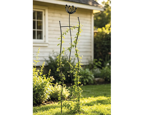 Schwarzes Garten-Rankgitter aus Metall mit dekorativem Blüten-Aufsatz, bewachsen mit einer Kletterpflanze in einem sonnigen Garten.