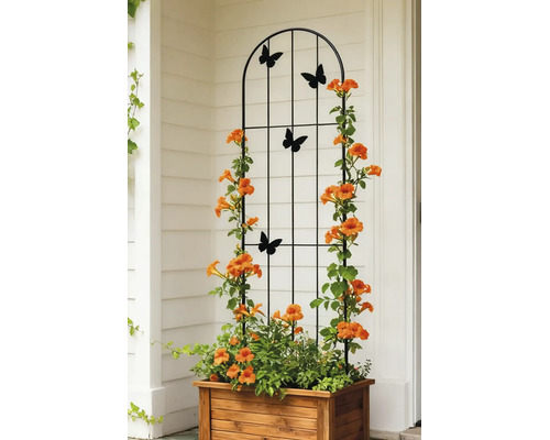 Schwarzes Rankgitter aus Metall mit Schmetterlingsmotiven in einem hölzernen Pflanzkasten mit kletternden orangefarbenen Blüten.