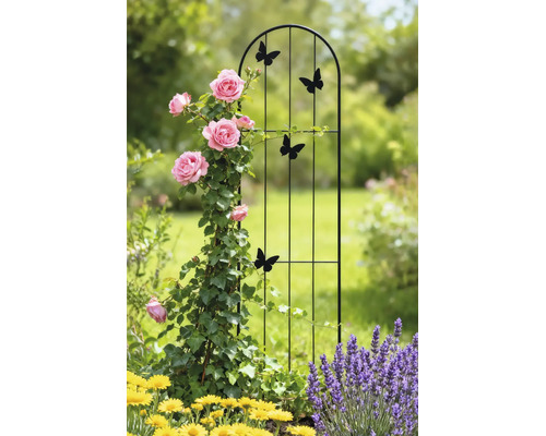 Rankhilfe aus Metall mit Schmetterlings-Motiven und Rundbogen in einem Garten mit kletternden Rosen.
