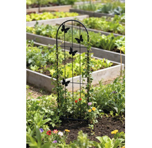 Rankgitter aus Metall mit Schmetterlingen in einem bepflanzten Gartenbeet mit Kletterpflanzen.