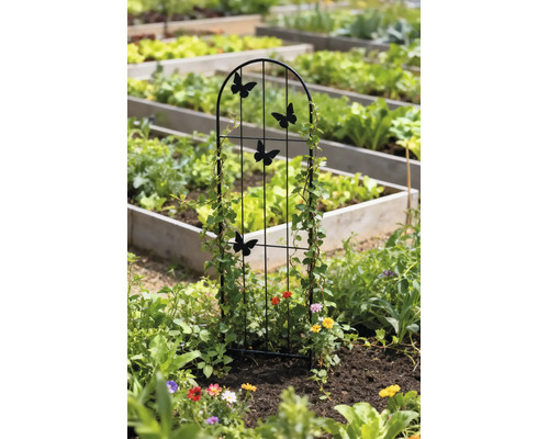 Rankgitter aus Metall mit Schmetterlingen in einem bepflanzten Gartenbeet mit Kletterpflanzen.