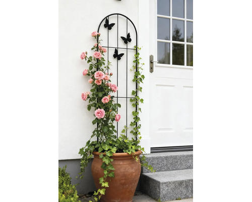 Schwarze Rankhilfe aus Metall mit Schmetterlingsmotiven und abgerundetem Abschluss, in einem Tontopf mit Rosen und Efeu neben einer Haustür.