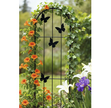 Schwarze Rankhilfe aus Metall mit Schmetterlings-Motiven, bewachsen mit Kletterpflanzen im Garten.