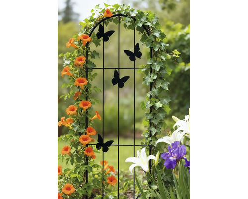 Schwarze Rankhilfe aus Metall mit Schmetterlings-Motiven, bewachsen mit Kletterpflanzen im Garten.