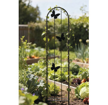 Schwarze Kletterhilfe aus Metall mit Schmetterlingsmotiven in einem bepflanzten Gartenbeet.