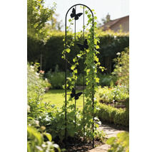Schwarze Rankhilfe aus Metall mit drei Schmetterlingen, bewachsen mit Kletterpflanzen in einem Garten.