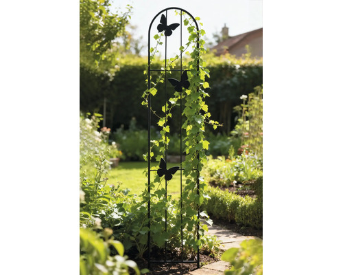 Schwarze Rankhilfe aus Metall mit drei Schmetterlingen, bewachsen mit Kletterpflanzen in einem Garten.