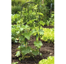 Dekoratives schwarzes Metall-Rankgitter mit Vogel-Motiven in einem hellen Gartenbeet, das eine wachsende Gurkenpflanze mit Früchten stützt.