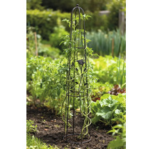 Rankobelisk aus Metall mit Vogel- und Blattdekor, unterstützt eine Kletterpflanze in einem Gartenbeet.